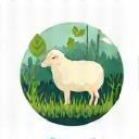 Image representing renewable wool source icon
